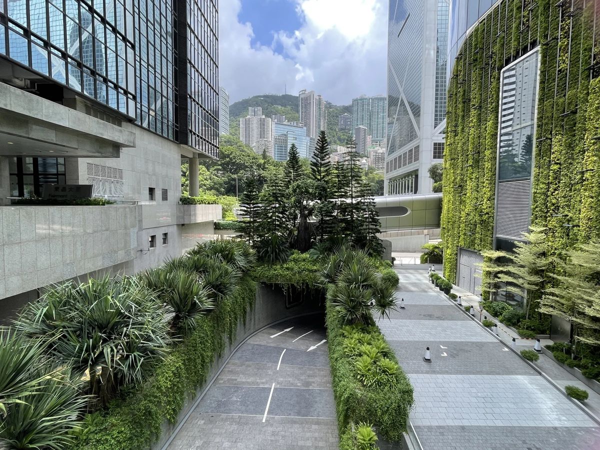 HK financial district green canyon